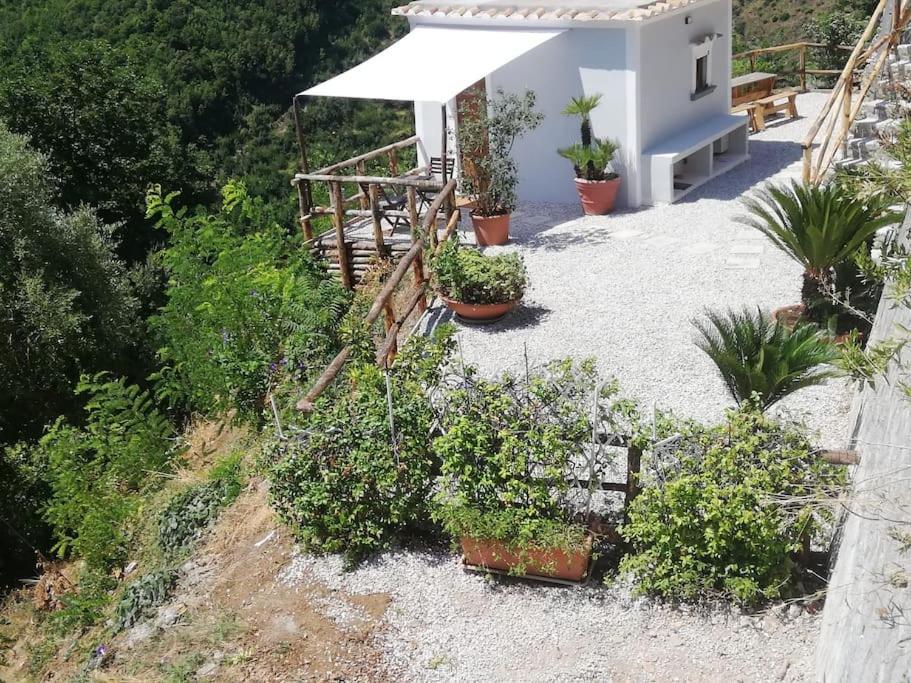 Amalfi Coast - Mini Cottage Vista Mare Con Giardino Vietri Exterior foto